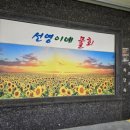 선영이네물회펜션