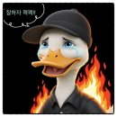 Miss 멍 | 외장하드 복구 실패 후기 (이지어스 복구 마법사, 전문 업체 의뢰 후기)