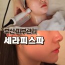 세라피스 | 부산피부관리 웨딩관리 세라피스파, 서면 에스테틱 후기