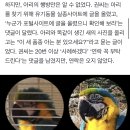 “앵무새 돌려줘요” 경찰 연락받고도 날려 보낸 남성의 최후 (궁금한이야기y) 이미지