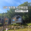 숲속의 계곡 | 김해 용지봉 자연휴양림 숲속의집 후기ㅣ숲나들e 대기로 다녀온 계곡 휴양림
