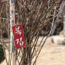 우리복집 이미지