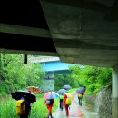 대덕고등학교 버스정류장 이미지