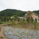 해뜨는한의원 이미지