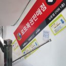 로또 당첨 지역과 1등 당첨 후기