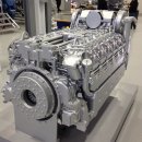 대한부란자 이미지