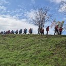 효촌초등학교 이미지