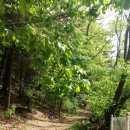 세움어린이집 놀이터 이미지