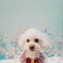 올리스 아시아드점 이미지