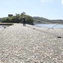 청정바다 이미지