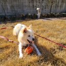 (주)맛땡이 이미지