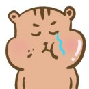 홍스비어 이미지