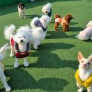 멈무유치원 이미지