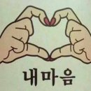 코오