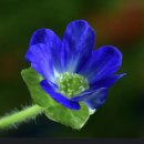 색채심리 이미지