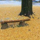 칠북초등학교 이미지