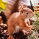 한국폴리텍 특성화대학 항공캠퍼스 이미지