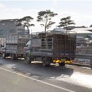 중앙산업 도축장 이미지