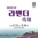 라벤더 한스경제