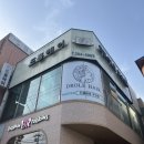 드홀헤어 주안점