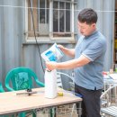 부여육종 이미지