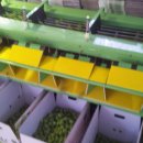 청암농장 이미지