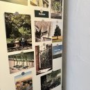월정숲 | [공지] 제주살기의 로망, 지금이 기회! [월정하우스]에서 일주일·한달살기 예약 OPEN