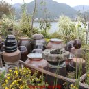 강변추어탕 이미지