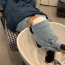 비전고 | 평택 비전동 두피관리, 힐링 제대로 되는 헤드스파, CSL MGF 두피탈모센터 평택비전점 후기✨