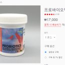 모닝버드 이미지