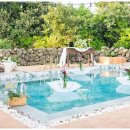 제주달로와 이미지