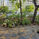 목동3구 이미지