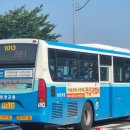 사파동221 이미지