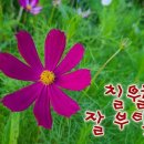 마인드7 이미지