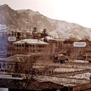 풍년숯불갈매기 이미지