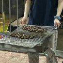 화이트스노우 이미지