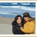 바다친구들 이미지