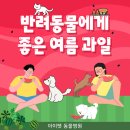 아이펫동물병원 이미지