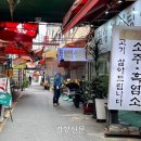 대구능금시장 티스토리