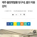 출장펫쌀롱 빙구네 이미지