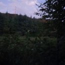 중광농장 이미지