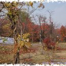 양재시민의숲 역 1번 출구 이미지