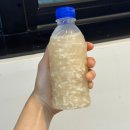 장수촌죽전 이미지