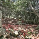 강진 바스락길 이미지