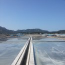 비금초등학교 이미지