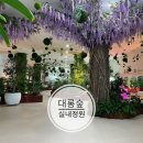 솔라파크 소회의실 | 진해 아이와 가볼만한 곳, 실내정원 대롱숲