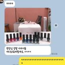 네일노퐁