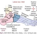 BODY GYM 이미지