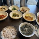 스텐셜핏