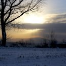 서일 농장 이미지